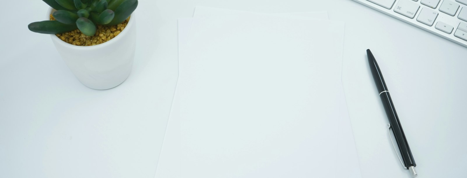A small plant and a pen on a white desk